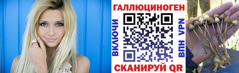 Псилоцибиновые грибы ЛСД  это наркотические препараты  Богучар 
